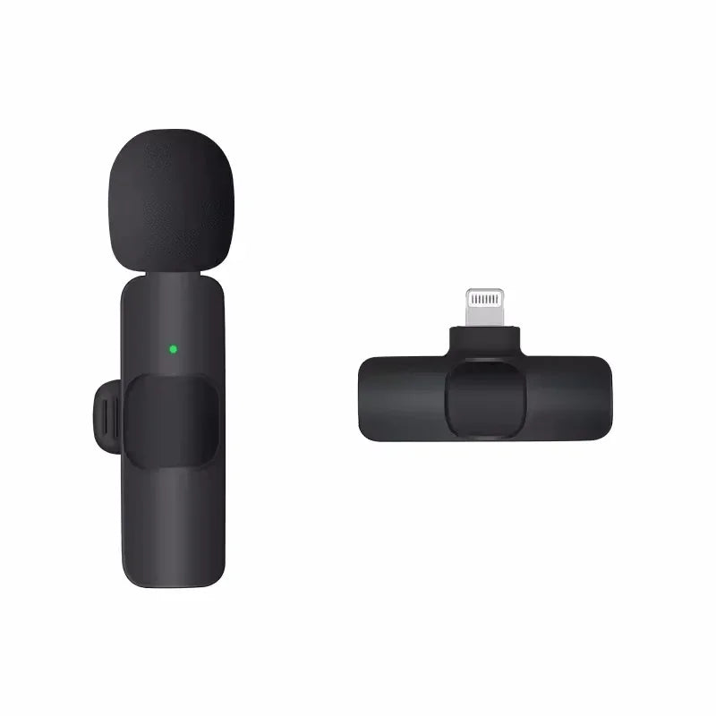 Mini Wireless Mic
